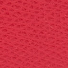 Carica l'immagine nel visualizzatore di Gallery, CAMELIA M Zipped Card Case Ruby
